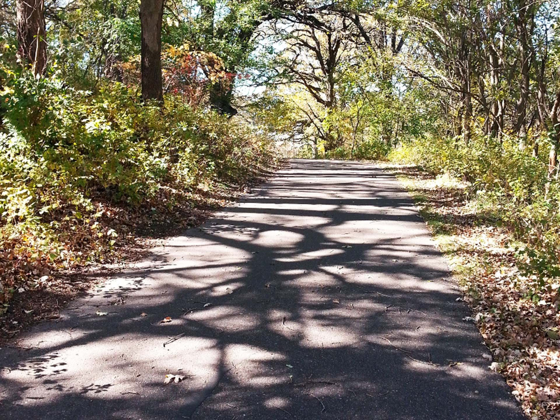 Walk, bike or skate along the Dickinson County spine trail